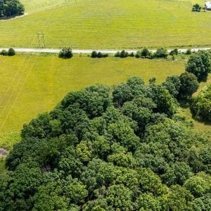 Photo #26 of SUNNYVIEW DR, RILEYVILLE, VA 40.6 acres