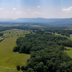 Photo #13 of SUNNYVIEW DR, RILEYVILLE, VA 40.6 acres