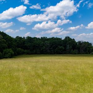 Photo #47 of SUNNYVIEW DR, RILEYVILLE, VA 40.6 acres