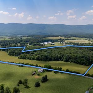 Photo #16 of SUNNYVIEW DR, RILEYVILLE, VA 40.6 acres