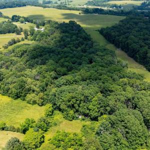 Photo #24 of SUNNYVIEW DR, RILEYVILLE, VA 40.6 acres