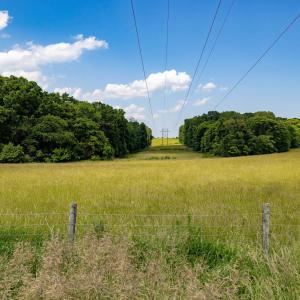 Photo #52 of SUNNYVIEW DR, RILEYVILLE, VA 40.6 acres