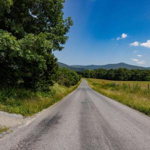 Photo #55 of SUNNYVIEW DR, RILEYVILLE, VA 40.6 acres
