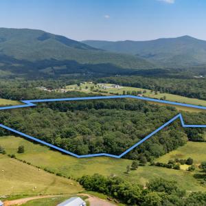 Photo #6 of SUNNYVIEW DR, RILEYVILLE, VA 40.6 acres