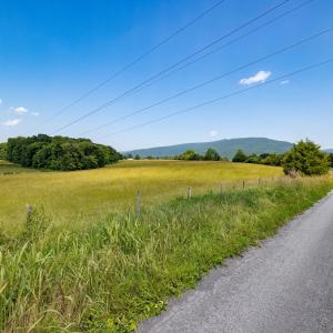 Photo #50 of SUNNYVIEW DR, RILEYVILLE, VA 40.6 acres