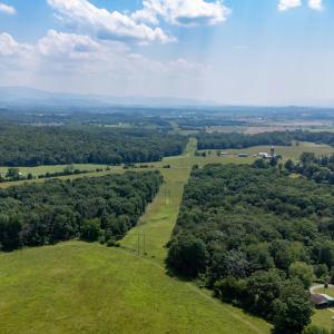 Photo #11 of SUNNYVIEW DR, RILEYVILLE, VA 40.6 acres