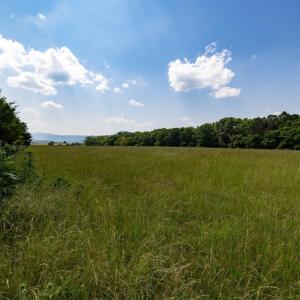 Photo #45 of SUNNYVIEW DR, RILEYVILLE, VA 40.6 acres