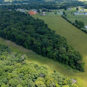 Photo #25 of SUNNYVIEW DR, RILEYVILLE, VA 40.6 acres