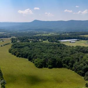 Photo #14 of SUNNYVIEW DR, RILEYVILLE, VA 40.6 acres