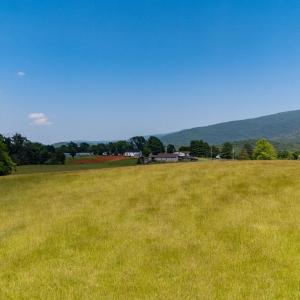 Photo #36 of SUNNYVIEW DR, RILEYVILLE, VA 40.6 acres