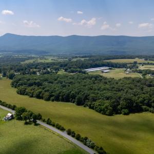 Photo #15 of SUNNYVIEW DR, RILEYVILLE, VA 40.6 acres