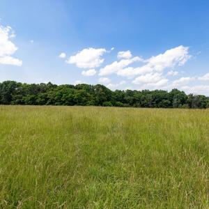 Photo #46 of SUNNYVIEW DR, RILEYVILLE, VA 40.6 acres