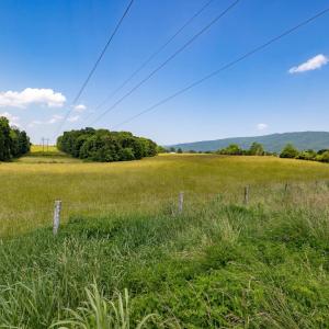 Photo #51 of SUNNYVIEW DR, RILEYVILLE, VA 40.6 acres