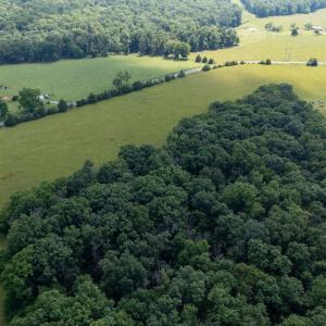 Photo #27 of SUNNYVIEW DR, RILEYVILLE, VA 40.6 acres