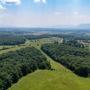 Photo #12 of SUNNYVIEW DR, RILEYVILLE, VA 40.6 acres