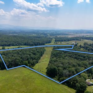 Photo #10 of SUNNYVIEW DR, RILEYVILLE, VA 40.6 acres