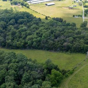 Photo #28 of SUNNYVIEW DR, RILEYVILLE, VA 40.6 acres