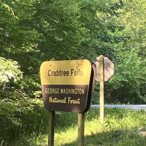 Photo #7 of TBD FISH HATCHERY LN, MONTEBELLO, VA 5.2 acres