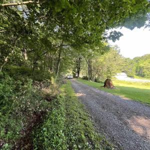 Photo #5 of TBD FISH HATCHERY LN, MONTEBELLO, VA 5.2 acres
