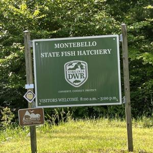 Photo #6 of TBD FISH HATCHERY LN, MONTEBELLO, VA 5.2 acres