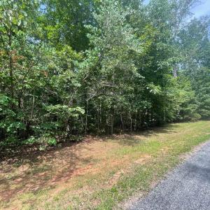 Photo #3 of 6715 WATER VIEW LN, MINERAL, VA 2.0 acres