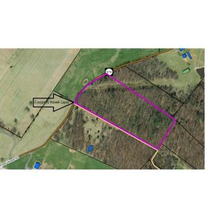 Photo #8 of PINEY WOODS RD, TIMBERVILLE, VA 15.2 acres