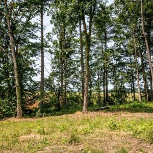 Photo #1 of PINEY WOODS RD, TIMBERVILLE, VA 15.2 acres