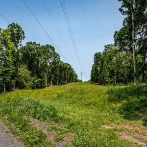 Photo #2 of PINEY WOODS RD, TIMBERVILLE, VA 15.2 acres