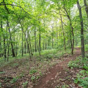Photo #23 of HYLAND RIDGE DR, CHARLOTTESVILLE, VA 21.0 acres