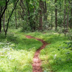 Photo #15 of HYLAND RIDGE DR, CHARLOTTESVILLE, VA 21.0 acres