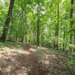 Photo #24 of HYLAND RIDGE DR, CHARLOTTESVILLE, VA 21.0 acres