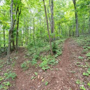 Photo #33 of HYLAND RIDGE DR, CHARLOTTESVILLE, VA 21.0 acres