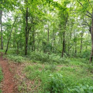 Photo #34 of HYLAND RIDGE DR, CHARLOTTESVILLE, VA 21.0 acres