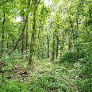 Photo #29 of HYLAND RIDGE DR, CHARLOTTESVILLE, VA 21.0 acres