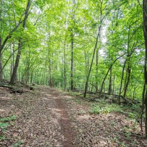 Photo #32 of HYLAND RIDGE DR, CHARLOTTESVILLE, VA 21.0 acres