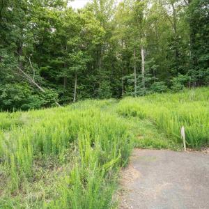 Photo #10 of HYLAND RIDGE DR, CHARLOTTESVILLE, VA 21.0 acres