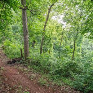 Photo #27 of HYLAND RIDGE DR, CHARLOTTESVILLE, VA 21.0 acres