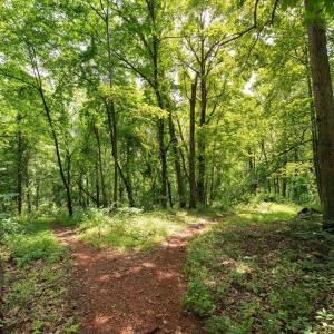 Photo #22 of HYLAND RIDGE DR, CHARLOTTESVILLE, VA 21.0 acres