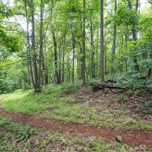 Photo #19 of HYLAND RIDGE DR, CHARLOTTESVILLE, VA 21.0 acres