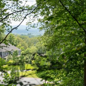 Photo #16 of HYLAND RIDGE DR, CHARLOTTESVILLE, VA 21.0 acres