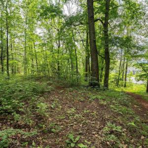 Photo #12 of HYLAND RIDGE DR, CHARLOTTESVILLE, VA 21.0 acres