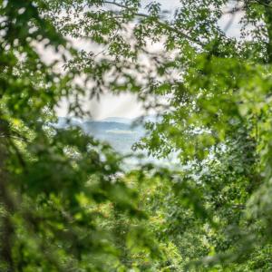 Photo #28 of HYLAND RIDGE DR, CHARLOTTESVILLE, VA 21.0 acres