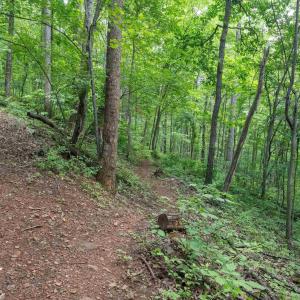 Photo #26 of HYLAND RIDGE DR, CHARLOTTESVILLE, VA 21.0 acres