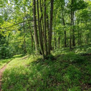 Photo #18 of HYLAND RIDGE DR, CHARLOTTESVILLE, VA 21.0 acres