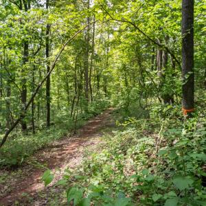 Photo #25 of HYLAND RIDGE DR, CHARLOTTESVILLE, VA 21.0 acres