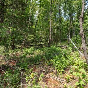 Photo #13 of HYLAND RIDGE DR, CHARLOTTESVILLE, VA 21.0 acres