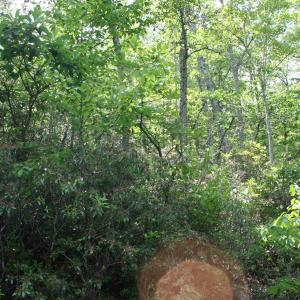 Photo #1 of 42 HIGH VALLEY SOUTH, MONTEREY, VA 5.0 acres