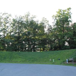 Photo #2 of 150 PELHAM PL, ROCKINGHAM, VA 0.5 acres