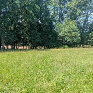 Photo #7 of Lot 7 ADVANCE MILLS RD, RUCKERSVILLE, VA 2.5 acres