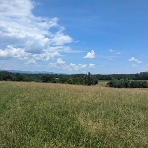 Photo #5 of Lot 7 ADVANCE MILLS RD, RUCKERSVILLE, VA 2.5 acres